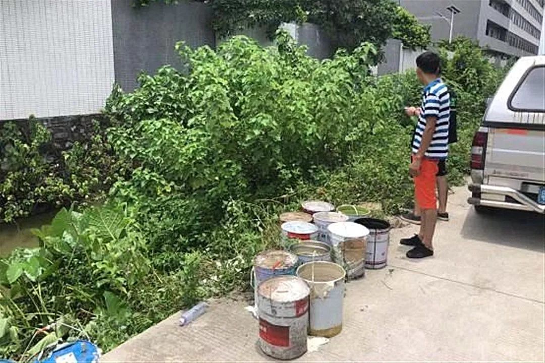 军犬麦克斯 视频缩略图