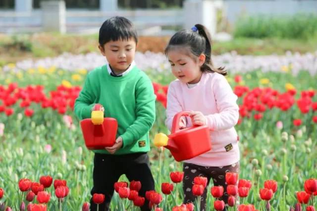 偷来的人生 视频缩略图