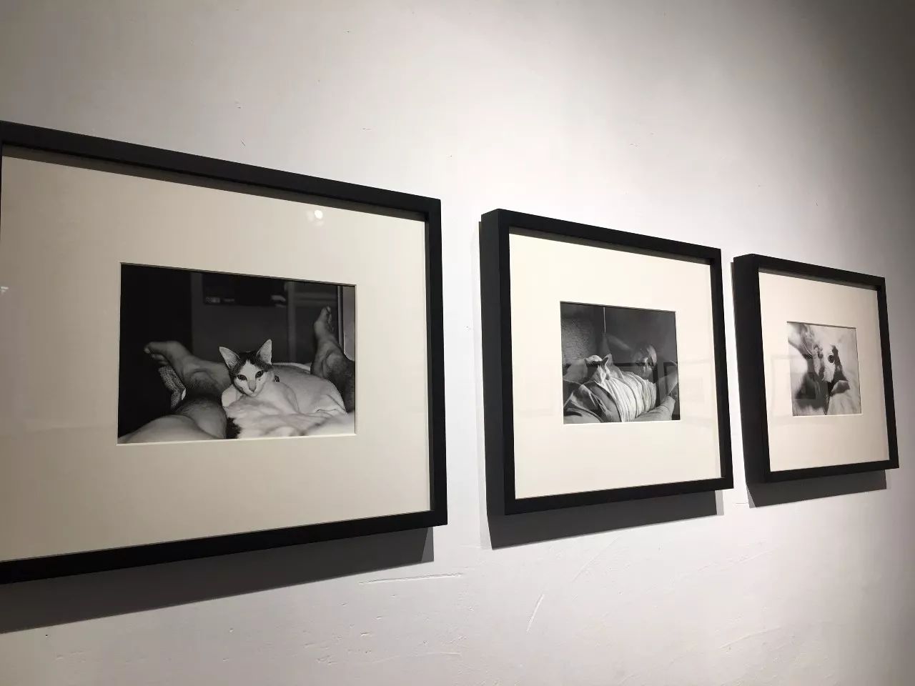 俄罗斯任务 视频缩略图