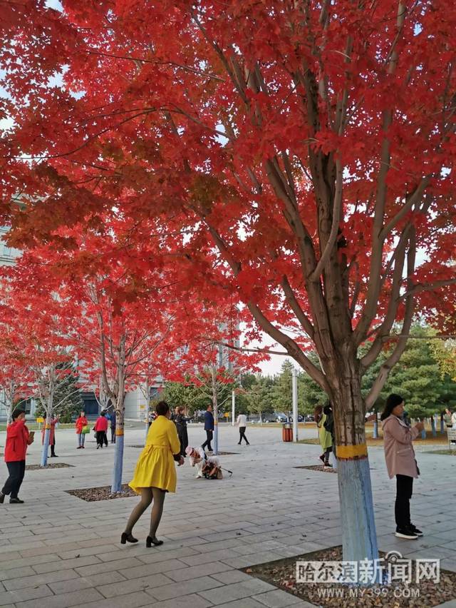 偶然与想象 视频缩略图