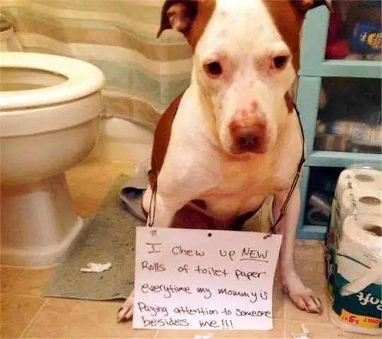 君子协定 视频缩略图