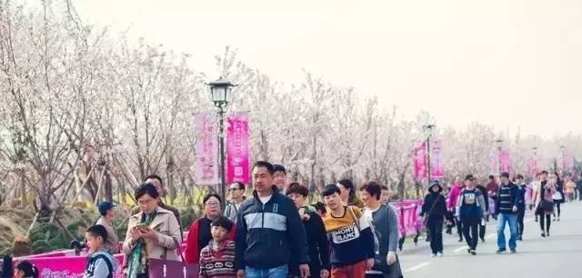 卡车司机之歌 视频缩略图