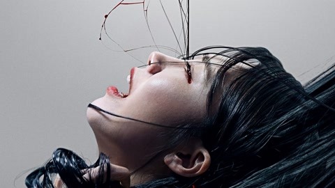 伏龙诀 视频缩略图