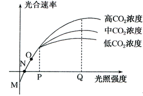 以假乱真：赝品的真实故事 视频海报