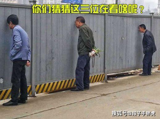 世界奇妙物语 2016年春之特别篇 视频主图