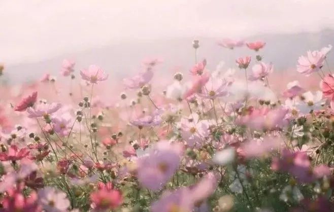 健听女孩 视频海报