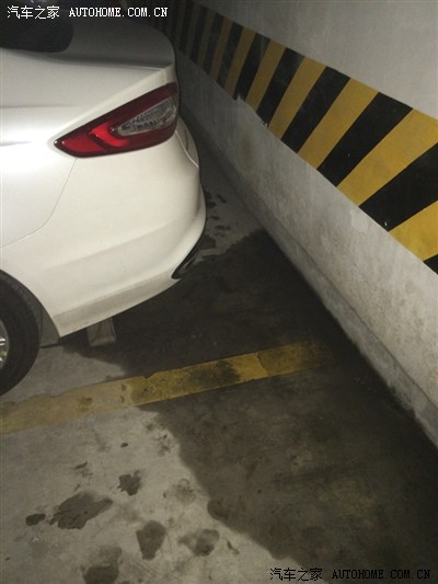 叛逆 视频缩略图