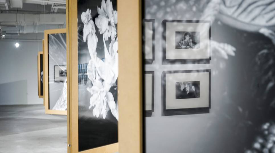 口是心非 视频缩略图