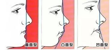 僵尸100：在成为僵尸前要做的100件事 视频缩略图