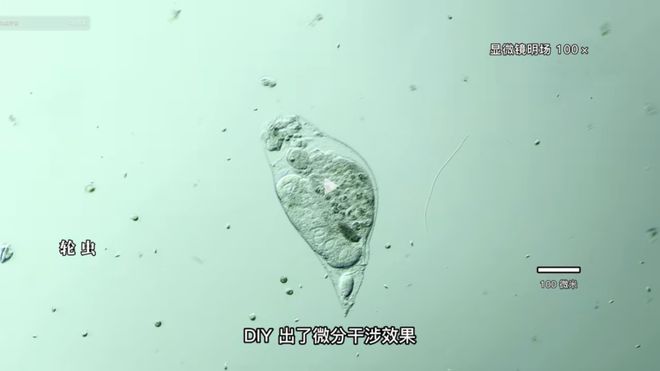 在宇田川町等我喔