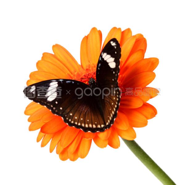 向右看 视频缩略图