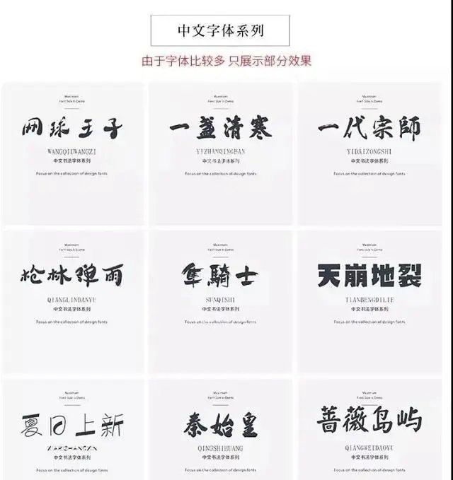 偶像先生 视频海报