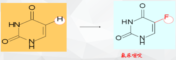 候爱·青春 视频缩略图