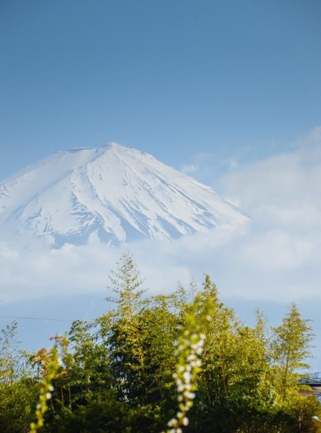 兄弟契约 视频缩略图