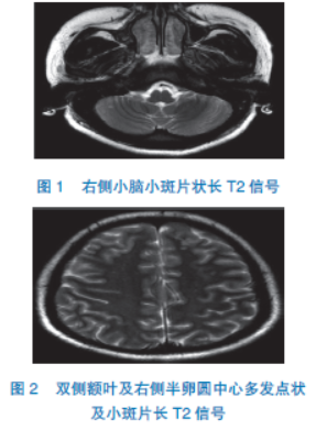 伽马3号 宇宙大作战 视频海报