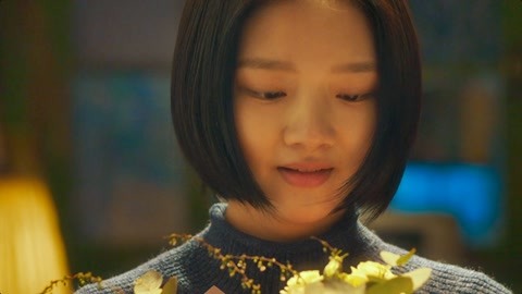 偷龙转凤 视频海报