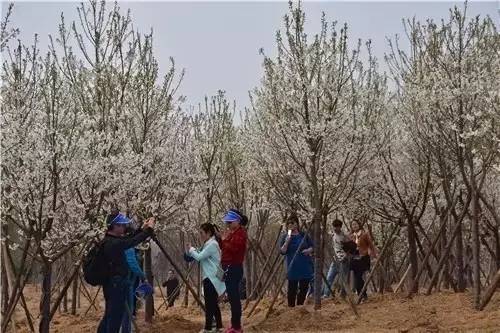 倒带 视频缩略图