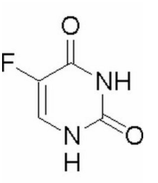 住货车的女士 视频缩略图