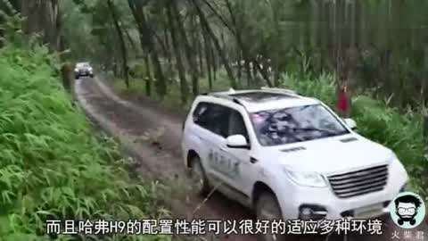 可靠港湾 视频缩略图