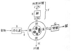 卫斯理之霸王卸甲 视频缩略图
