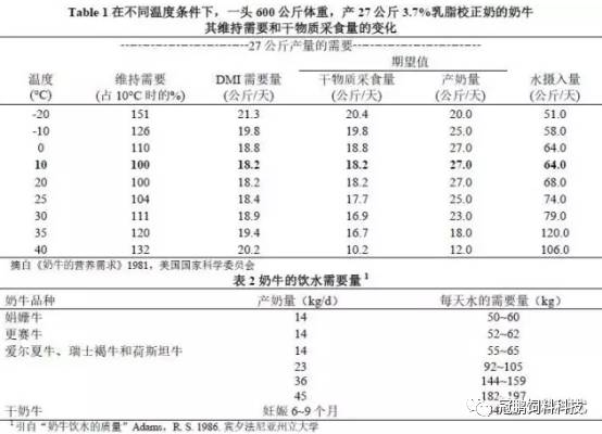 仙魔游踪之百懂仙 视频缩略图