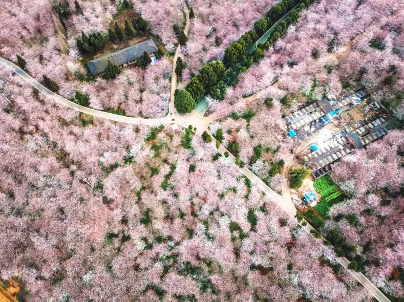 俏皮女学生 视频缩略图