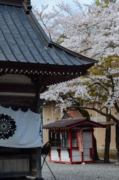 俄罗斯任务 视频缩略图