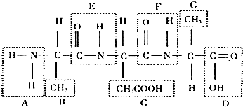 冷山 视频缩略图
