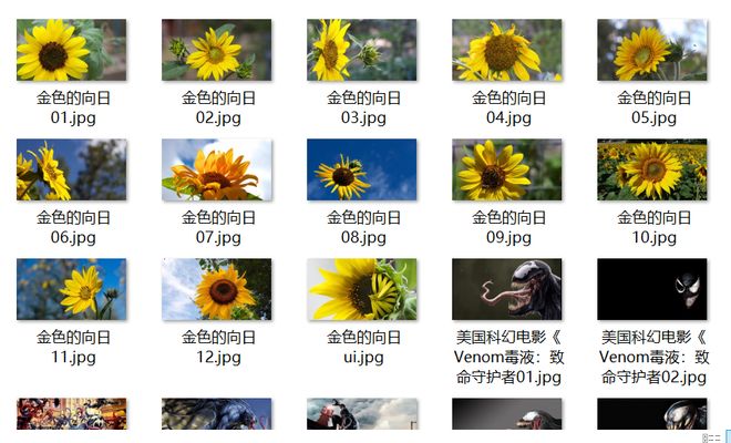 冲霄楼 视频缩略图