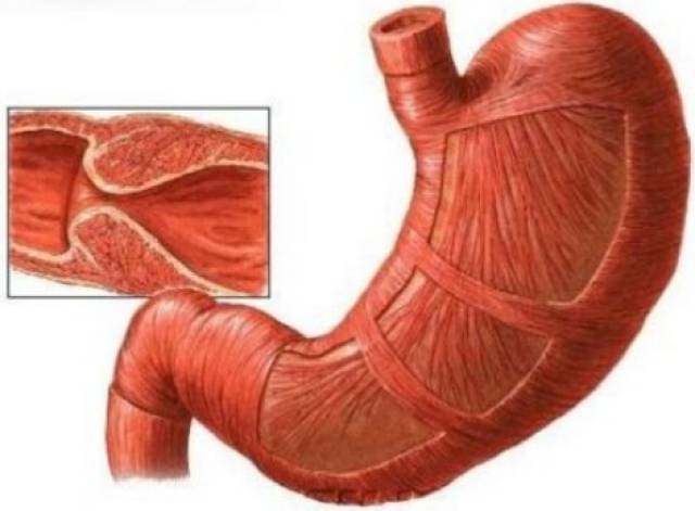 使命召唤 视频海报