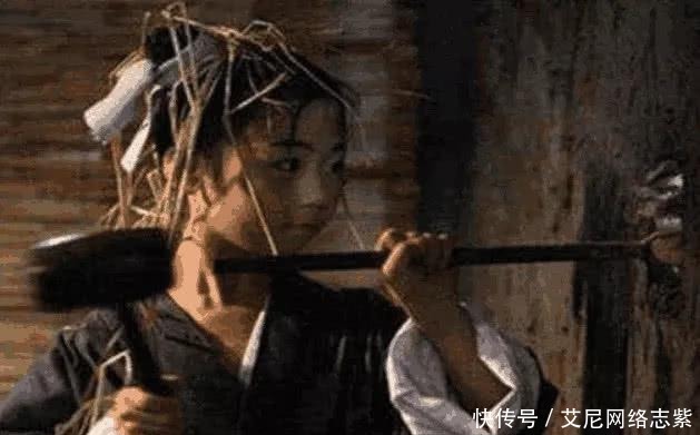 企业动物 视频缩略图