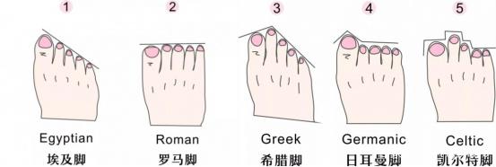 向日葵与幼犬的7天 视频主图