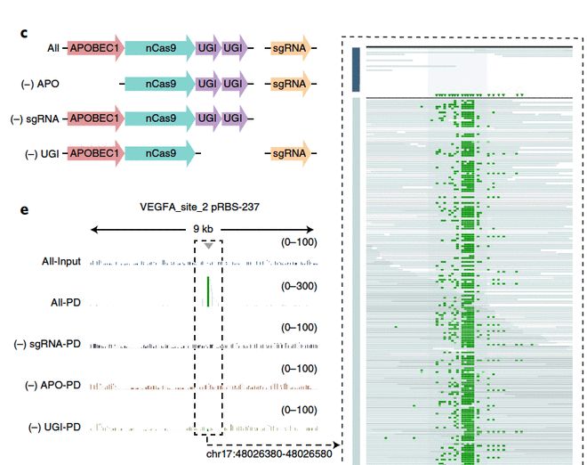 夜雨秋灯闻诡事 视频缩略图