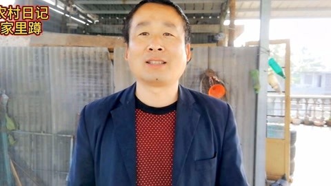 假面疑云 视频海报