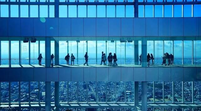 伯顿先生 视频缩略图