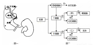 偷家派对 视频缩略图
