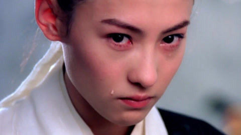 使徒行者2：谍影行动（国语版） 视频缩略图