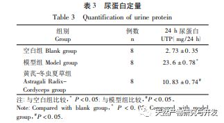 伟大的伟 视频缩略图