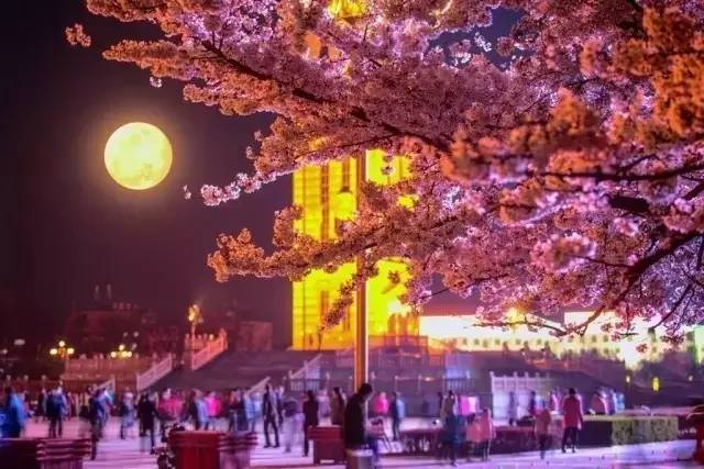 你的全部 视频海报