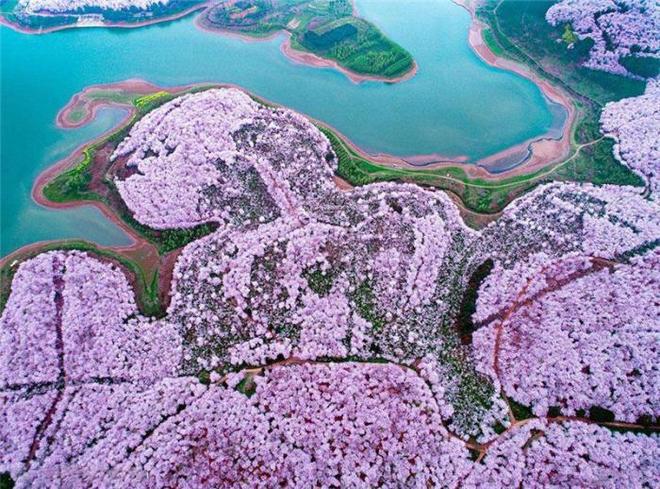 可口可乐小子 视频缩略图