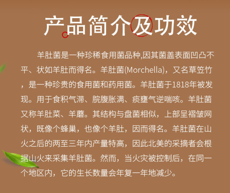 但愿人长久 视频缩略图