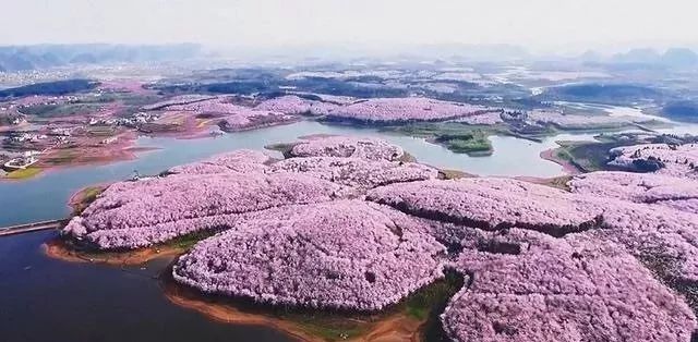 倾听者 2022 视频缩略图