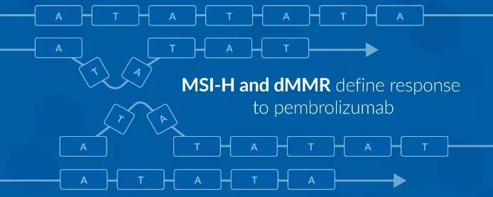 凶猫 兇貓 视频缩略图