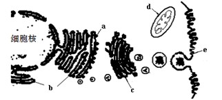 保卫战队之出动喇！朋友！ 视频缩略图