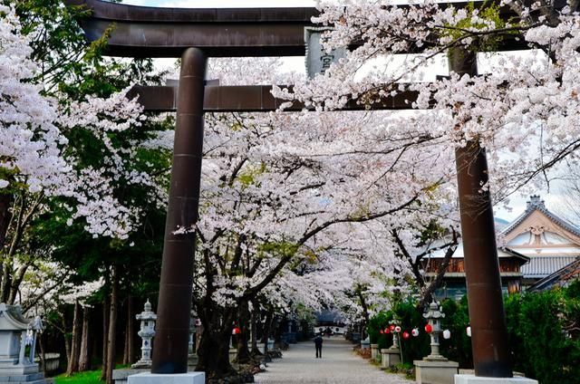 你美丽了我的人生 视频缩略图