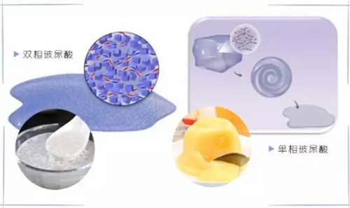 假面骑士555 20周年 天堂・重获 视频缩略图