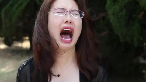 伍德布鲁斯的异想天开之旅 视频缩略图