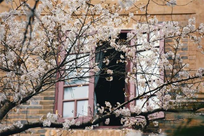 倾听者 2022 视频缩略图