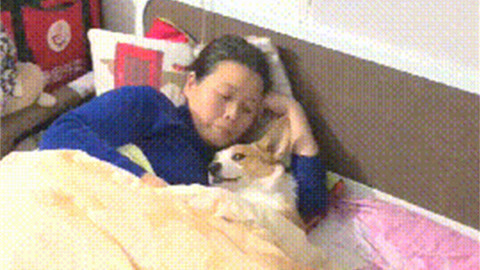 变相怪杰 视频缩略图