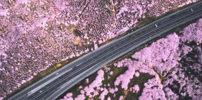 你丫闭嘴！ 视频主图